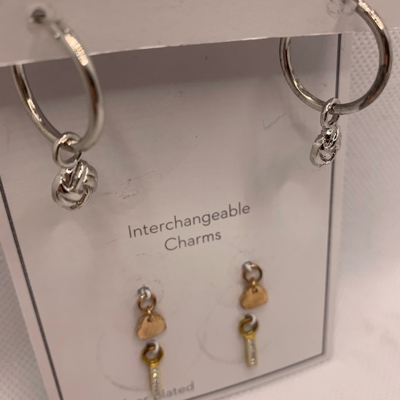 Gold and Silver Interchangeable Earrings Set with Charms - Picture 4 of 8